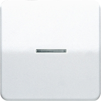 JUNG CD 500/CD plusСветло-серый Накладка светорегулятора/выключателя нажимного с индикацией (CD1561