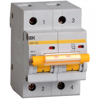 Автоматический двухполюсный выключатель IEK ВА 47-100 D10 10 кА
