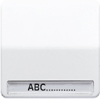 JUNG CD 500/CD plusСветло-серый Клавиша 1-я с полем для надписи (CD590NALG)