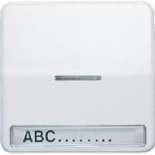 JUNG CD 500/CD plusСветло-серый Клавиша 1-я с/п с полем для надписи (CD590NAKO5LG)