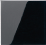 JUNG А 500 ЧерныйНакладка светорегулятора/выключателя нажимного с ДУ (радио) (A1561.07FSW)