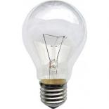 Лампа накаливания (ЛОН) термоизлучатель 200Вт 220В Е27 прозрачная различного назначения (Калашниково)